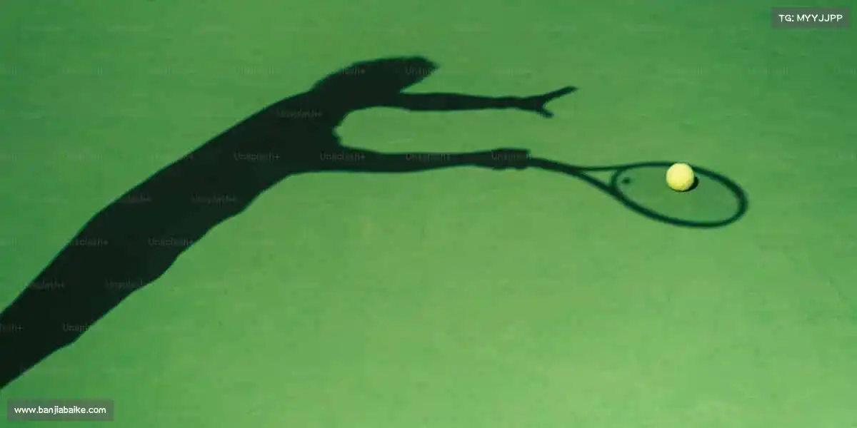 WG电子🏓小球转动大梦想,汗水铸就新辉煌!开启你的运动之旅吧~